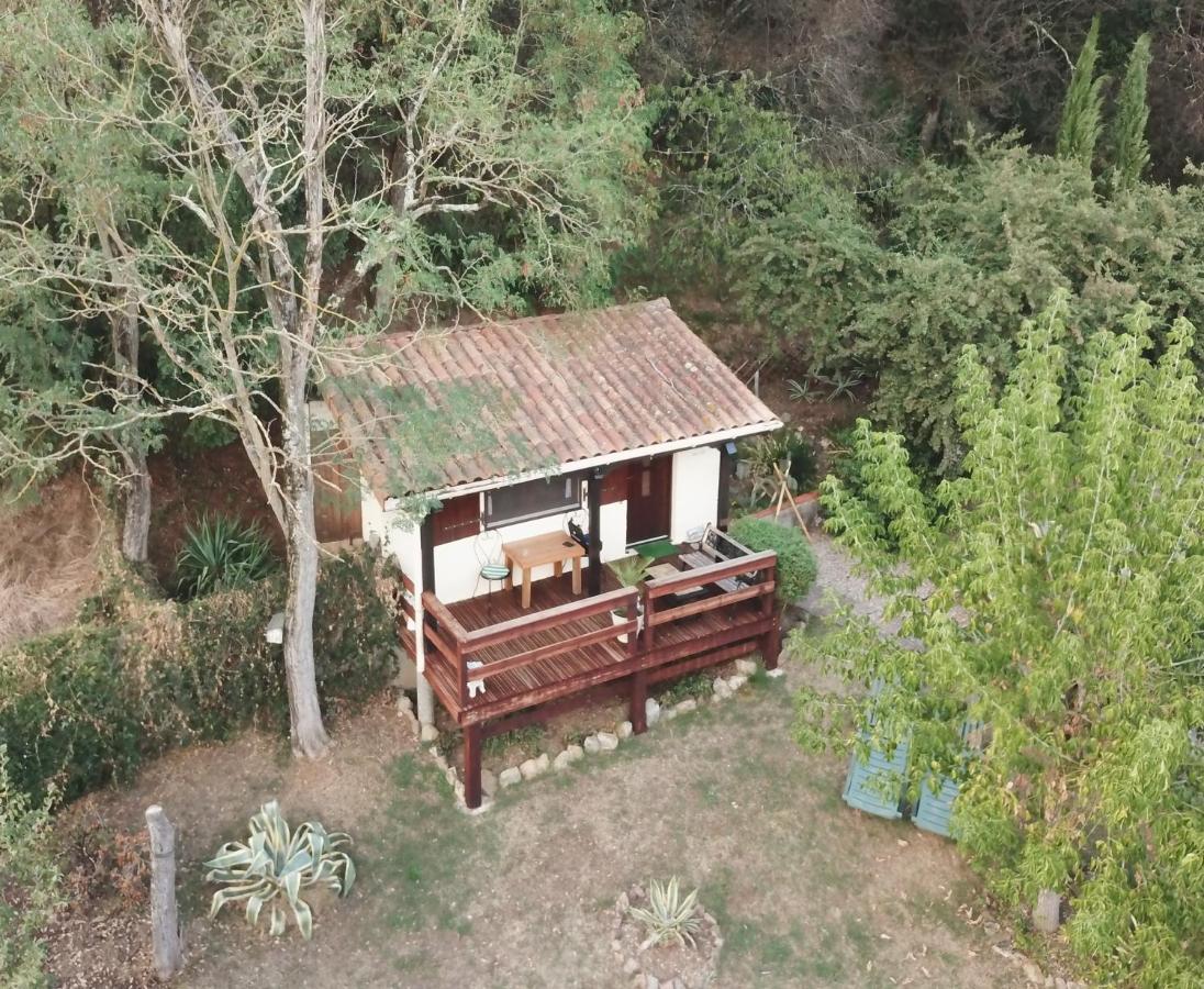 The Petite Chalet Chambre D'Hotes L'Isle-Jourdain  Exterior photo